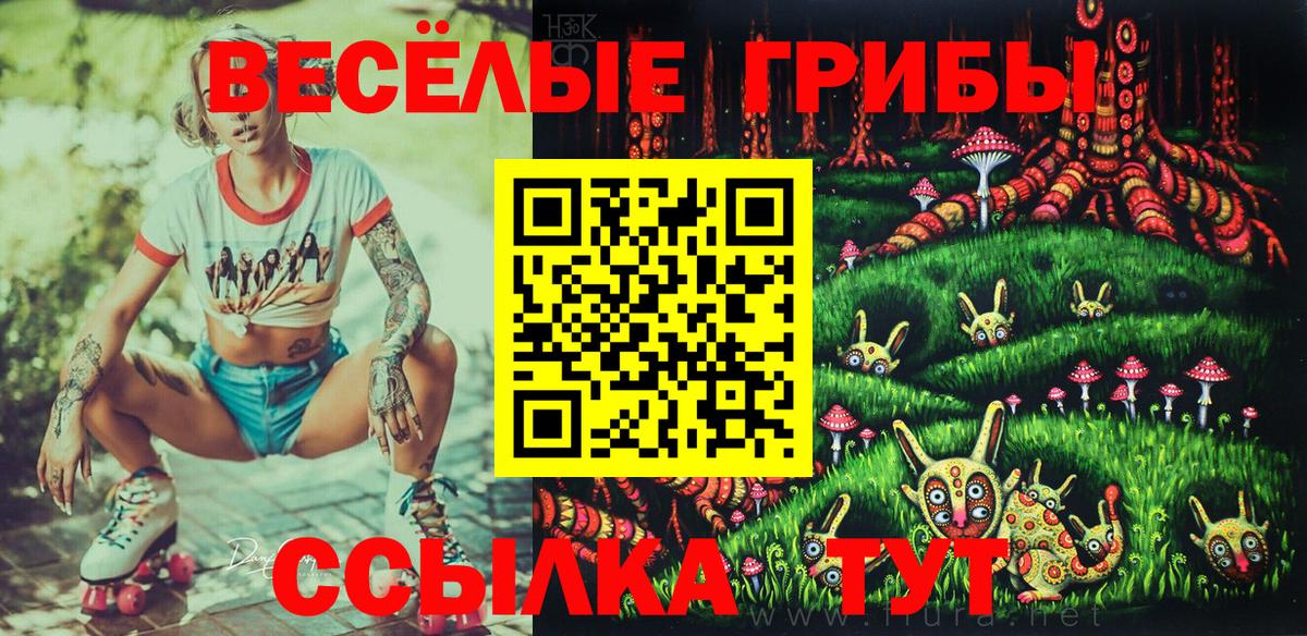 Псилоцибиновые грибы мухоморы Моршанск